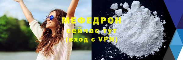 индика Богданович