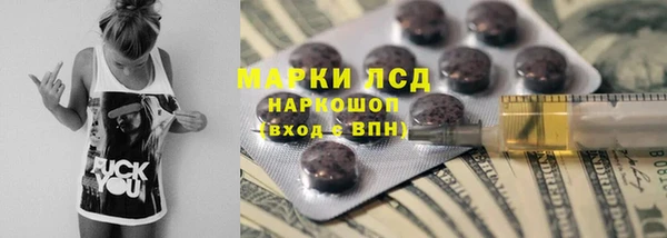 индика Богданович