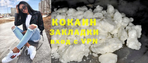 индика Богданович