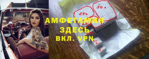 индика Богданович