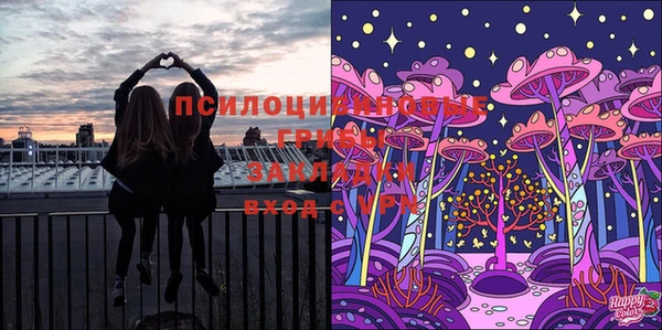 индика Богданович