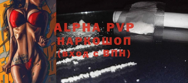 индика Богданович