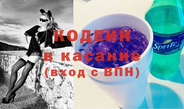 индика Богданович